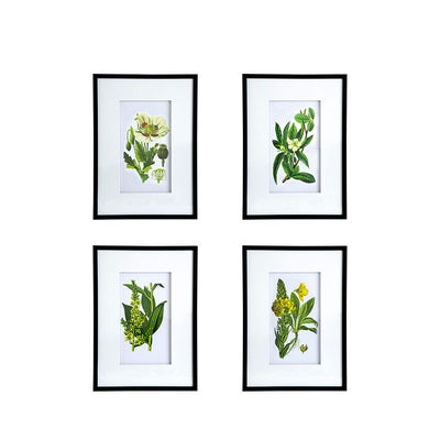Botanical Flower Wall Art, Home Decor For Living Room Dining Room, Bedroom, Hallway (Set of 4) - White / Blue