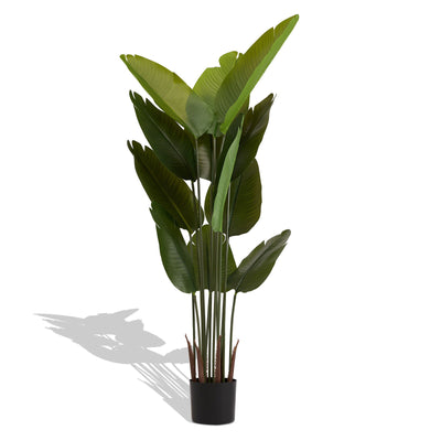 Artificial Plant For Indoor And Outdoor Decoration (Set of 2)