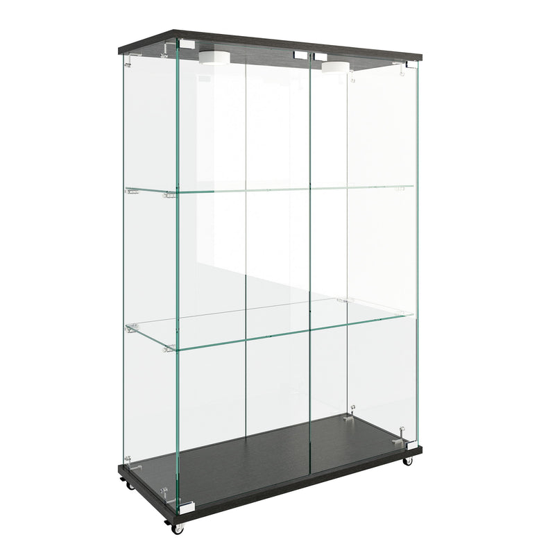 Modern Display Cabinet With LED Lights, Transparent Tempered Glass 2 Door Storage Case With 3 Shelves