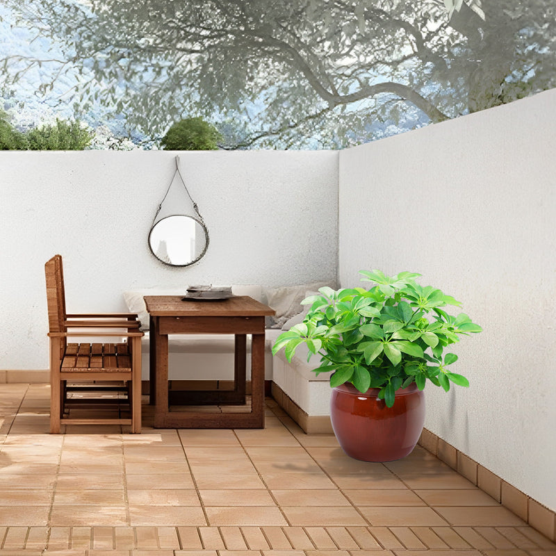 3 Pieces Ceramic Flowerpot, Planter For Patio, Garden Or Windowsills