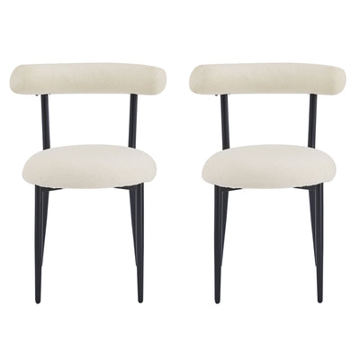 Modern Dining Room Chairs (Set of 2)