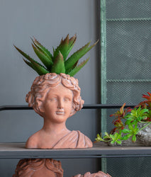 Home Accents > Planters & Vases