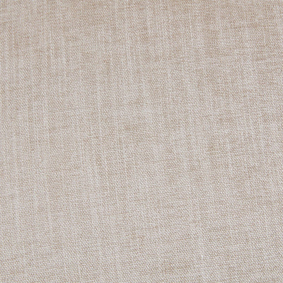 Ultra - Elegant Dining Side Chair (Set of 2)