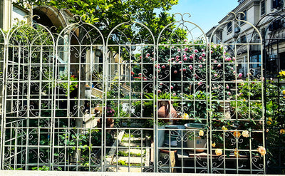 Metal Garden Rustproof Trellis For Climbing Plants Outdoor Flower Support