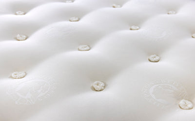 13" Cotton 6 Hypnos Firm Mattress