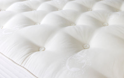 14" Cotton 8 Hypnos Plush Mattress