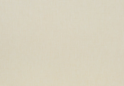 Dining Chair, Upholstered, Dining Room, Transitional (Set of 2) - Cream