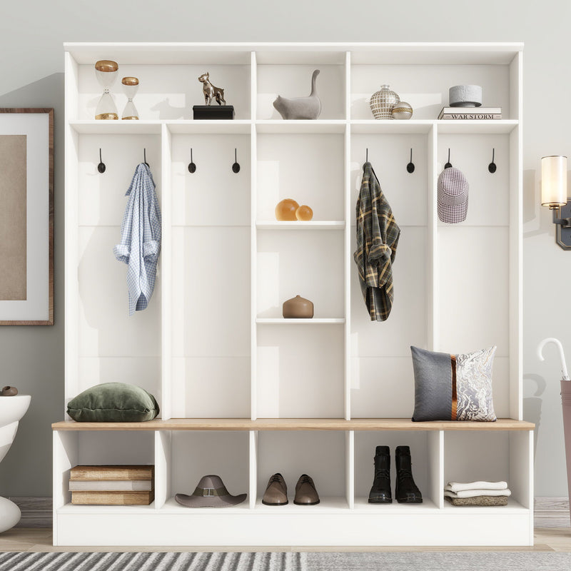 Minimalist Shoe Cabinet With Cube Storage & Shelves