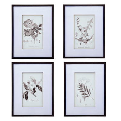 Botanical Wall Art Prints, Home Decor For Living Room Dining Room, Bedroom, Hallway (Set of 4) - White / Black
