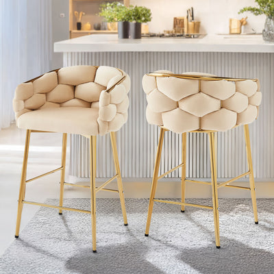 Modern Counter Stools (Set of 2)