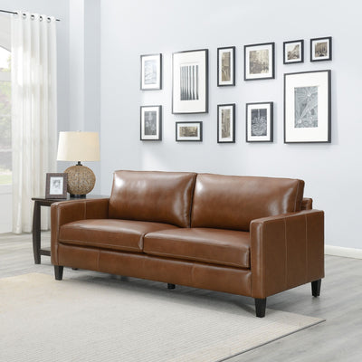 Modern & Contemporary Leather Sofa