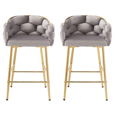 Modern Counter Stools (Set of 2)