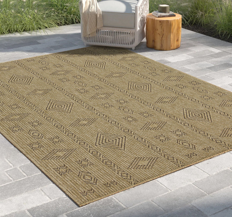 Earth - Indoor, Outdoor Area Rug, Polypropylene